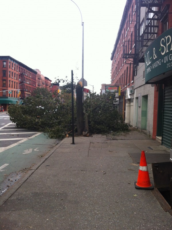 Hurricane Sandy Damage 2