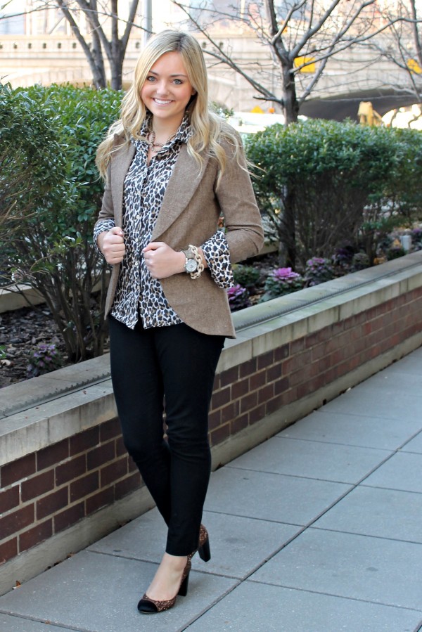 Brown, Black, and Leopard