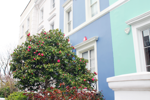 blue-and-green-houses-notting-hill-london