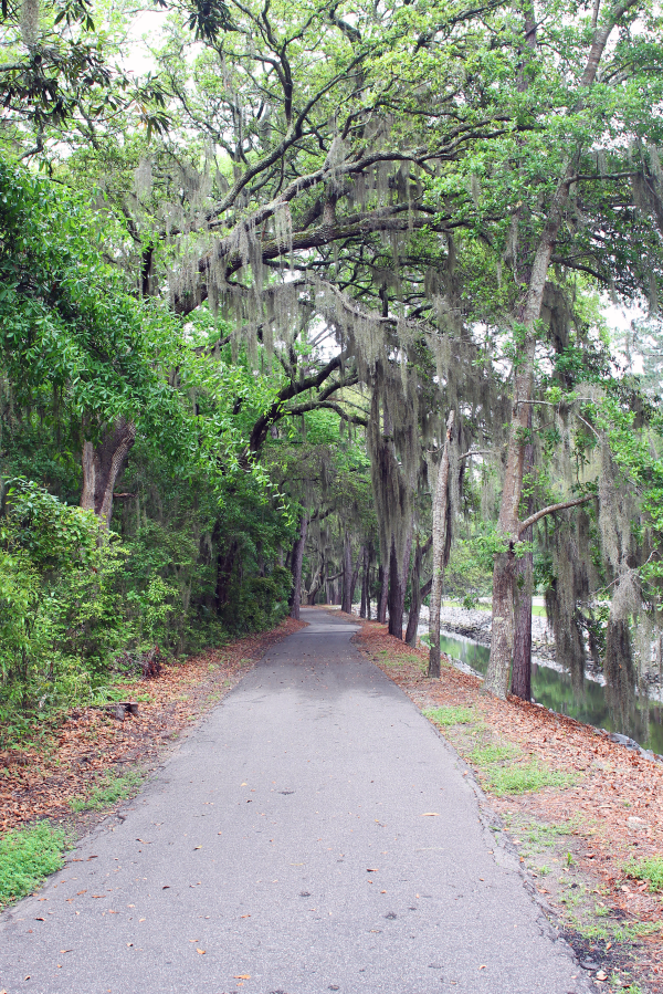 spanish-moss-hilton-head-island