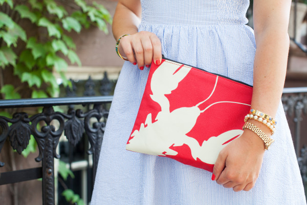 tibi lobster pouch