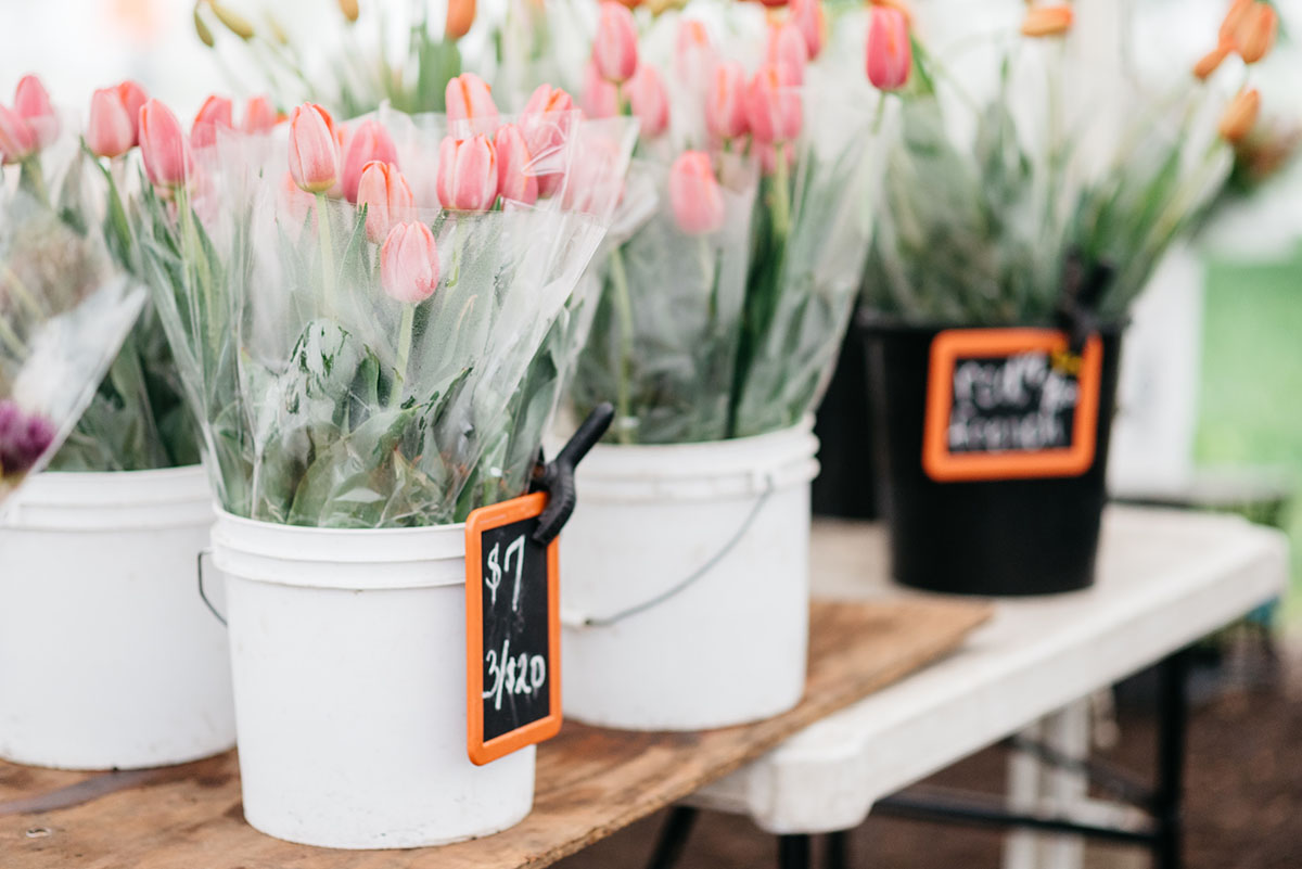 Tulips at Green City Market outdoor farmers market in Lincoln Park in Chicago.