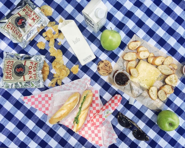 Perfect Picnic NYC -- delivers everything you need for a picnic, including a nice picnic blanket!