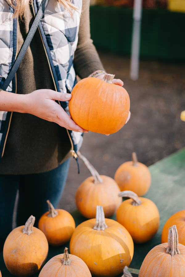 Blogger Bows & Sequins wearing a cute gingham vest and olive green sweater at a pumpkin patch!