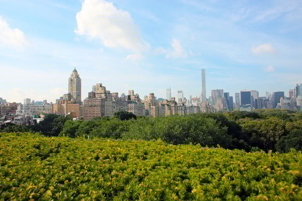 Rooftop view from the Metropolitan Museum of Art in Manhattan in NYC (The Met Skyline View)