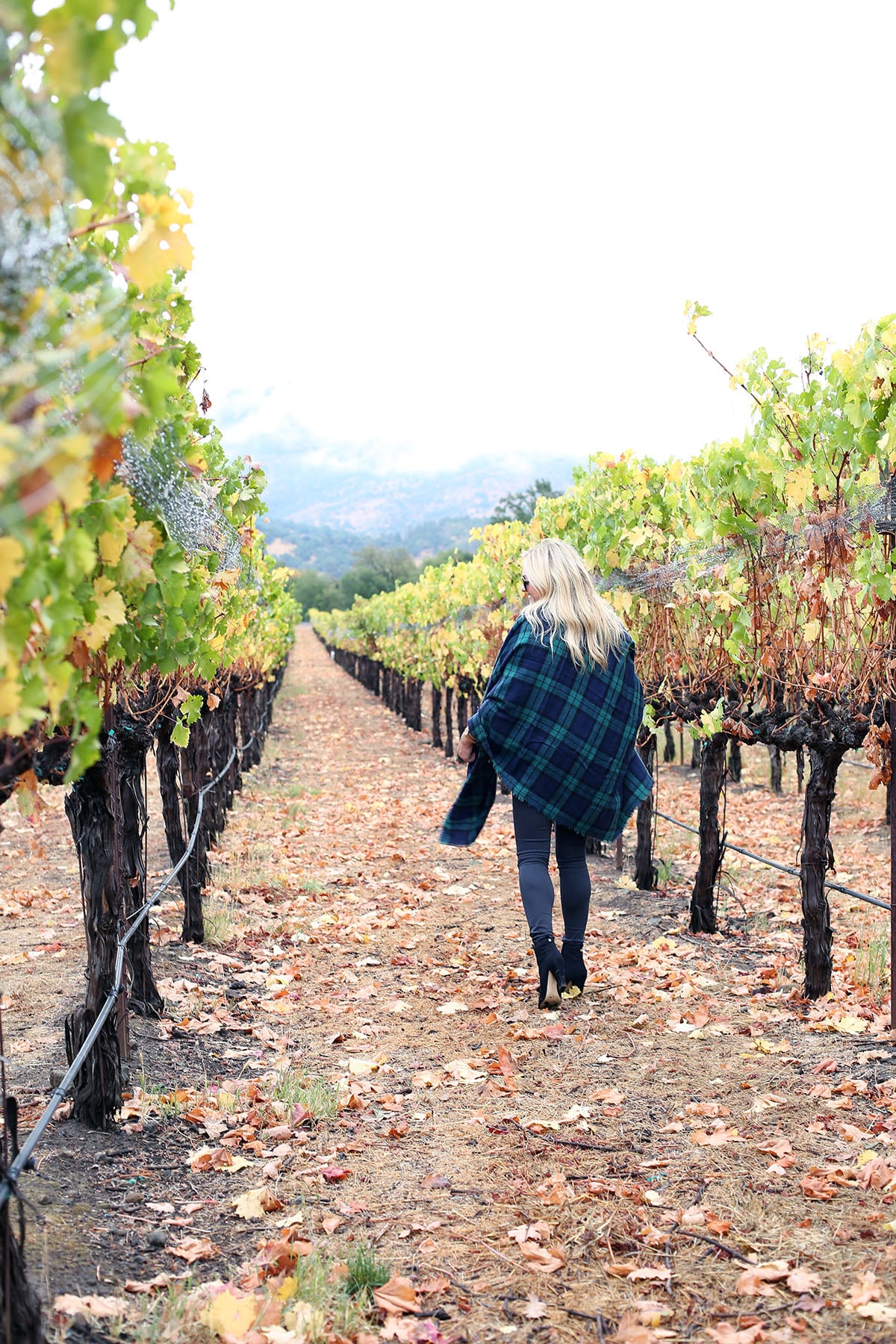 Bows & Sequins wearing a plaid shirt, quilted vest, grey jeans, black booties, and a blanket scarf in Napa, California.