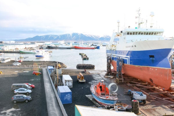 Bows & Sequins Iceland Travel Guide: Reykjavik Marina