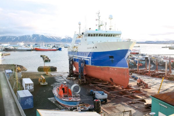 Bows & Sequins Iceland Travel Guide: Reykjavik Marina