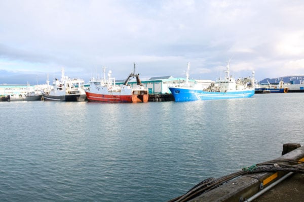 Bows & Sequins Iceland Travel Guide: Boats in Reykjavik Marina