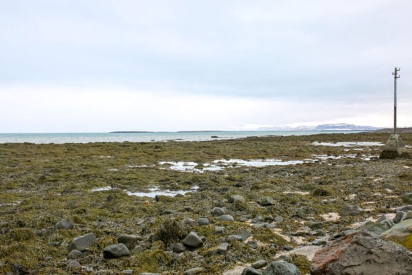 Bows & Sequins Iceland Travel Guide: Grotta Lighthouse