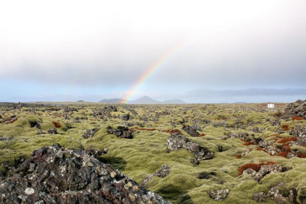 Rainbow in Iceland | Bows & Sequins Travel Guide