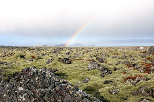 Rainbow in Iceland | Bows & Sequins Travel Guide