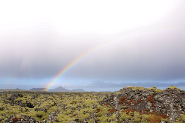 Rainbow in Iceland | Bows & Sequins Travel Guide