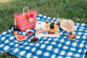 Bows & Sequins hosting a summer picnic along Lake Michigan with a Crate & Barrel blue gingham blanket, Veuve Clicquot champagne flutes, and an orange lacquer tray.