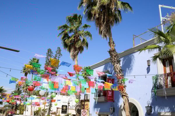 Jessica Sturdy shares photos from exploring San Jose del Cabo in Mexico. Colorful banners and palm trees