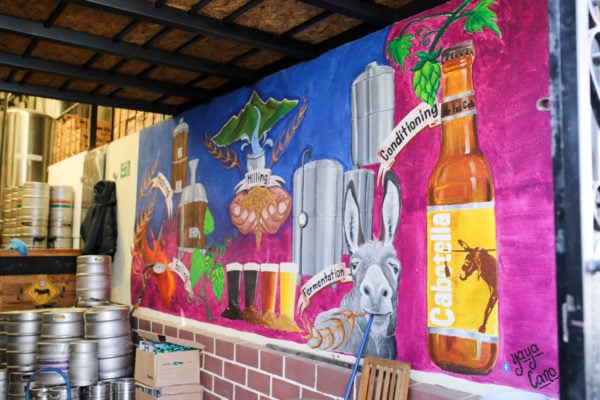 Jessica Sturdy shares photos from exploring San Jose del Cabo in Mexico. Baja Brewery