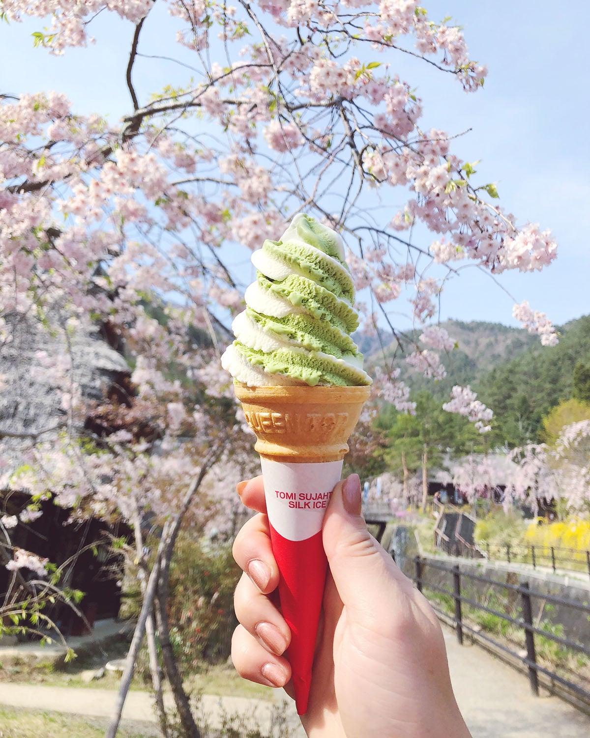 Jessica Sturdy Japan Travel Guide -- Matcha Soft Serve Ice Cream in front of Cherry Blossom Trees with Blue Skies near Mt Fuji