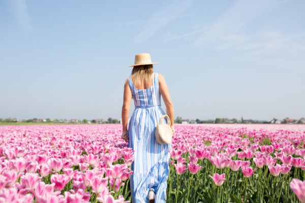 Jessica Sturdy in Amsterdam, Netherlands in a pink tulip field wearing a blue and white striped Vineyard Vines dress and a Clare V round straw bag.
