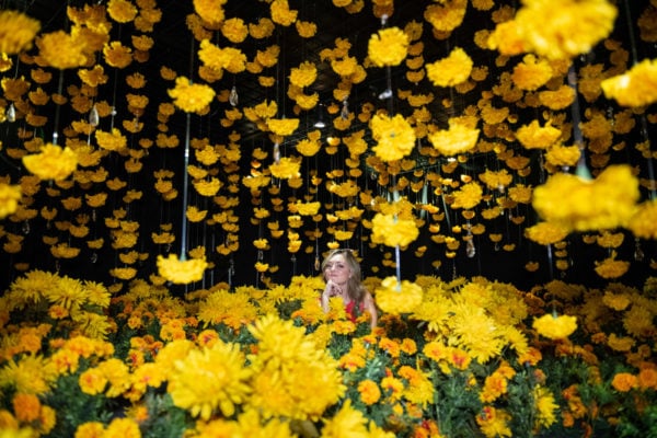 Chicago blogger Bows & Sequins at Happy Place in the yellow daisy flower room.