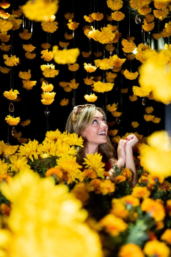 Lifestyle blogger Bows & Sequins at Happy Place Chicago in the room with falling yellow daisies.