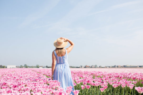 Lifestyle influencer Jessica Sturdy wearing a blue and white striped dress with a straw boater hat in a pink tulip field with blue skies in Amsterdam.