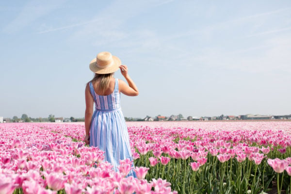 Travel influencer Jessica Sturdy wearing a striped maxi dress and a straw hat in a pink tulip field in Amsterdam.