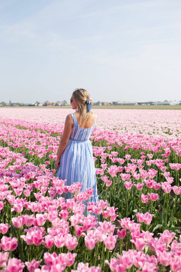 Fashion and travel influencer Jessica Sturdy in a pink tulip field outside of Amsterdam.