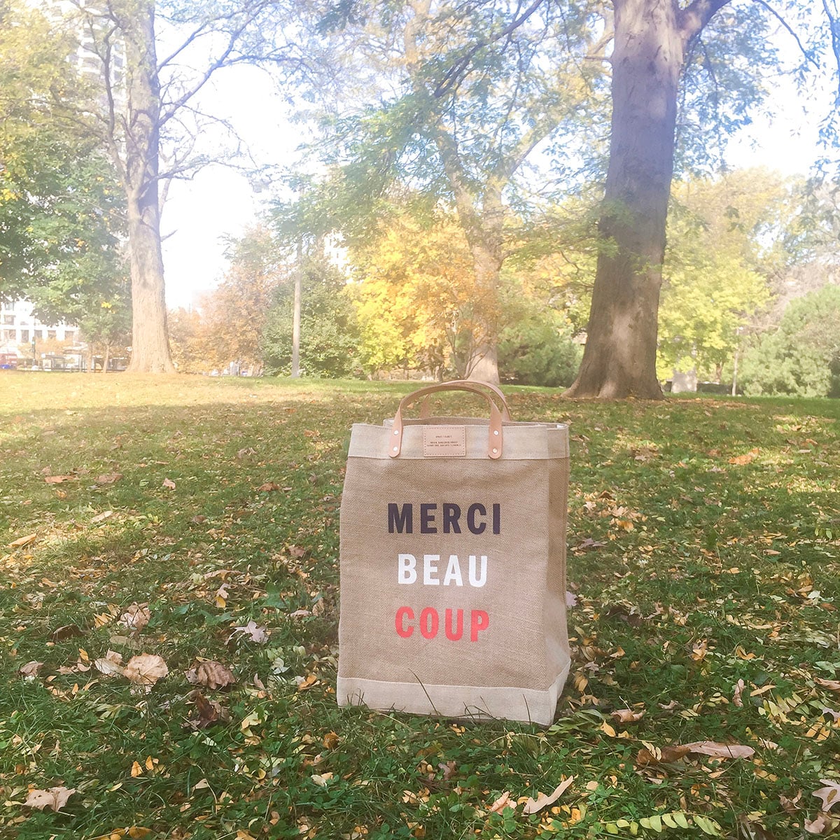 Merci Beau Coup Farmers Market Tote by Apolis