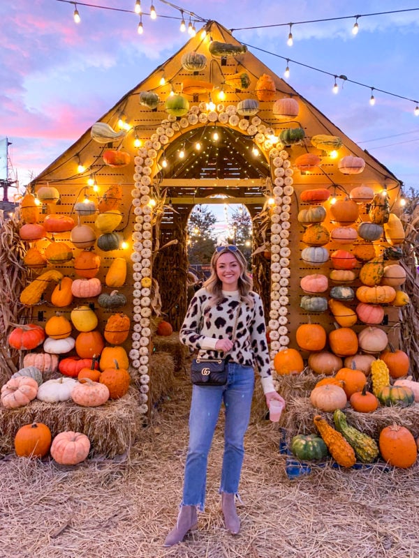 Chicago blogger Jessica Sturdy of Bows & Sequins at Jack's Pumpkin Pop-Up