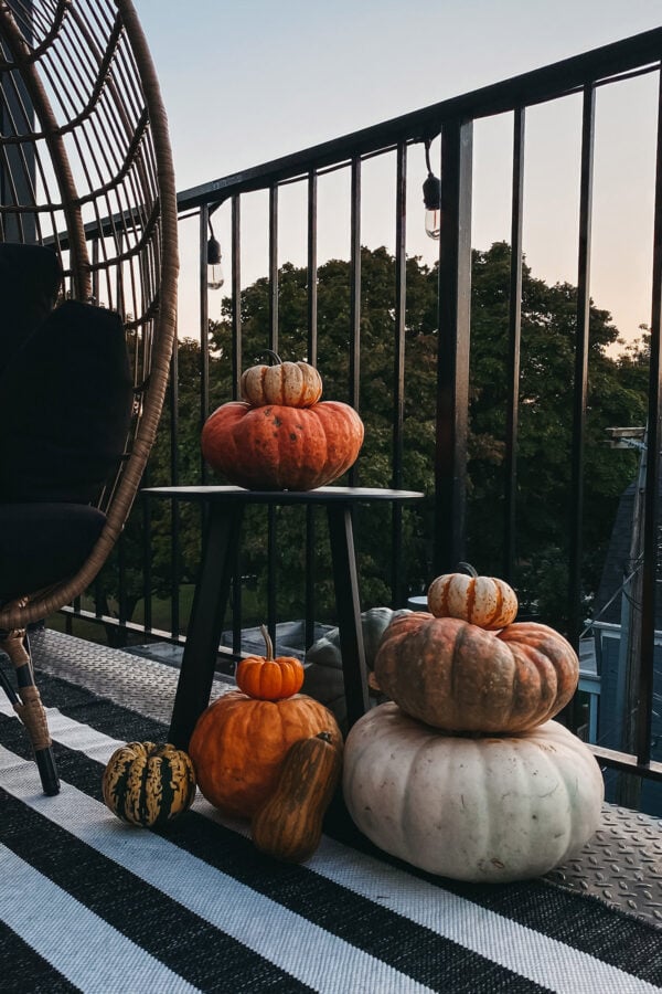 Chicago blogger Jessica Sturdy of Bows & Sequins shares her outdoor fall decor with mums and porch pumpkins.