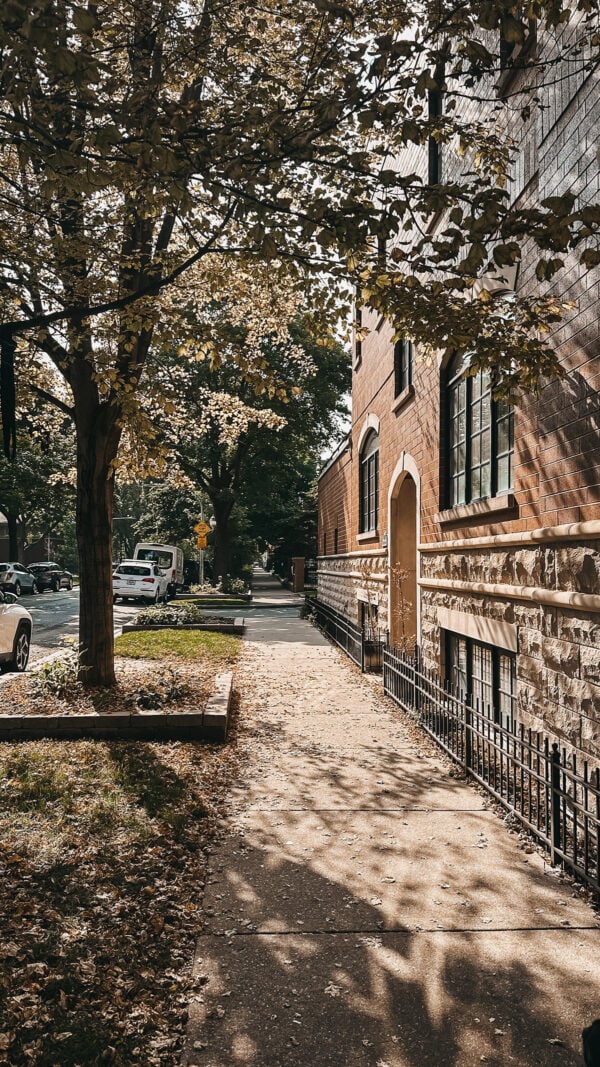 September in Chicago. Falling Leaves and Shorter Days